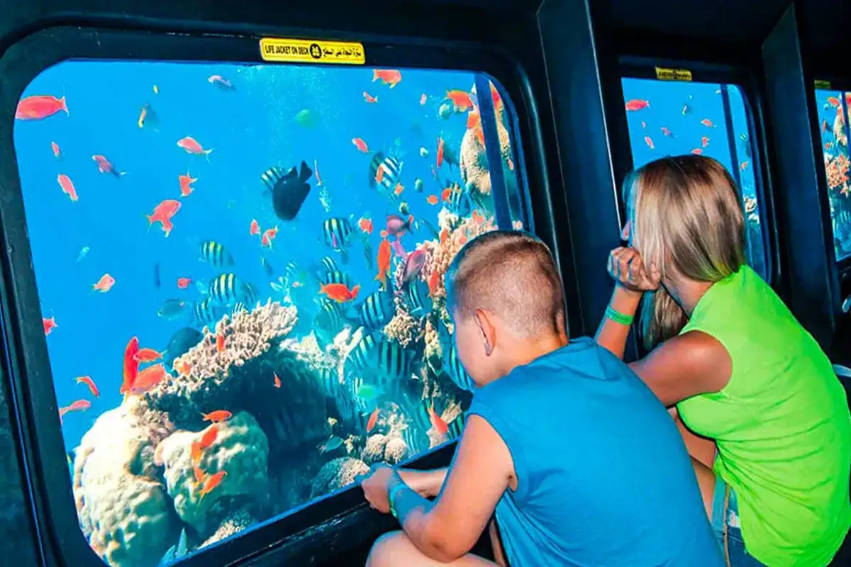 Батискаф в Хургаде — подводный мир Красного моря