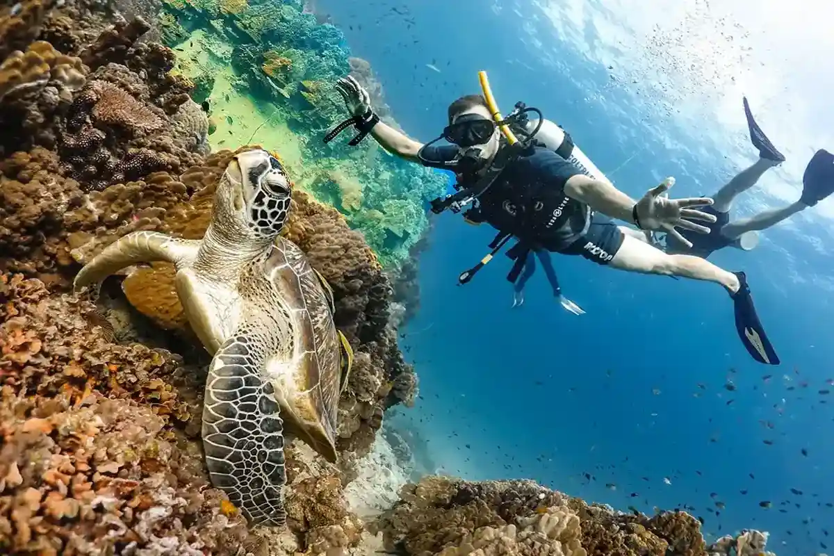 Погружение с аквалангом — дайвинг для новичков