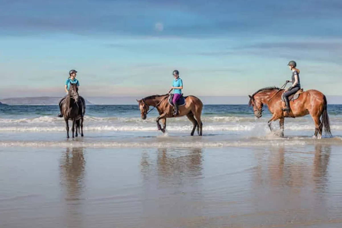 Катание на лошадях — пляж, пустыня и купание в море в Хургаде